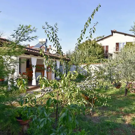 Cozy Flat With Garden Access In